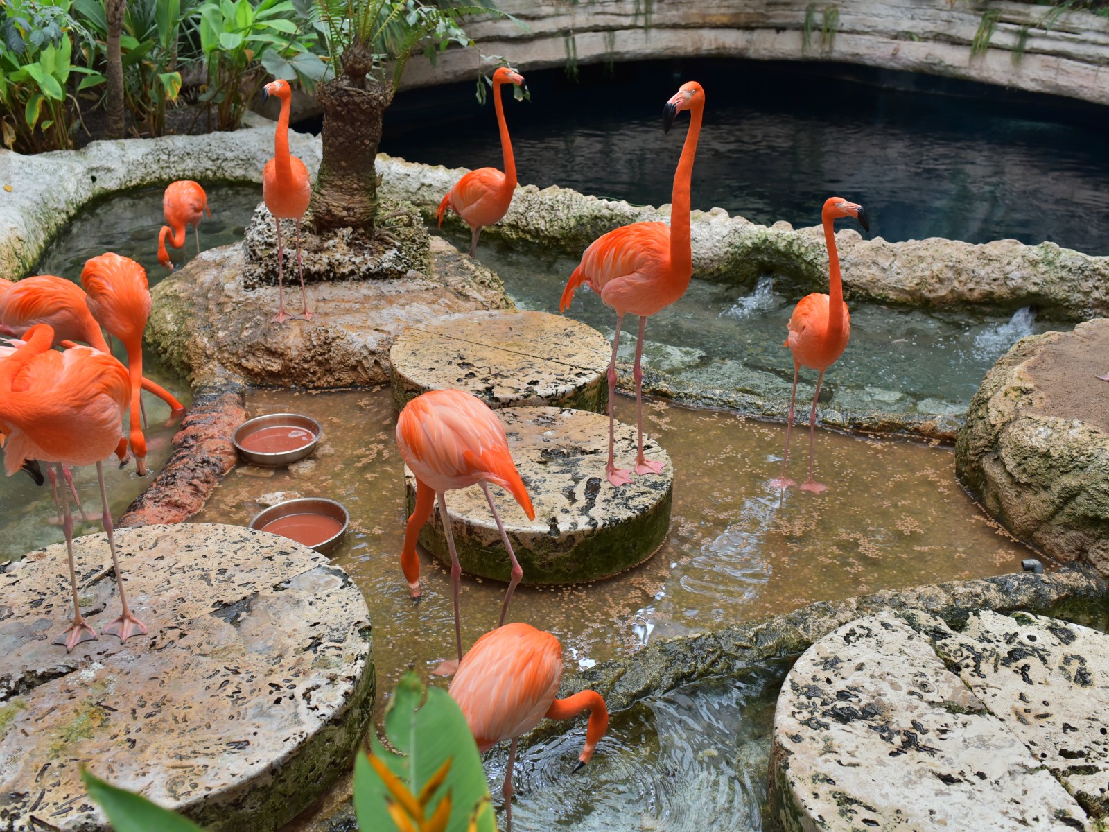 Montgomery Zoo